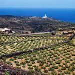Mostra fotografica "Pantelleria 1968-72, Emozioni di un paesaggio" nelle foto di Renato Bazzoni