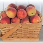 MR Fruitness: Nuova campagna di sensibilizzazione per 10.000 medici tedeschi