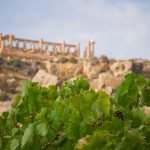 Vino, nasce progetto Diodoros per la Valle dei Templi