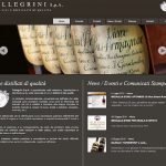 Nuovo sito internet tutto rinnovato per Pellegrini Spa