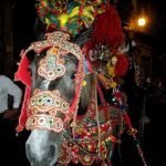 Bagheria (PA): Carretti siciliani, vino e limoni al Flower Film Festival 2011