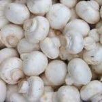 Funghi: tanta vitamina D, aiuto per dimagrire