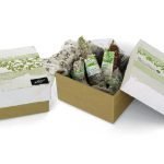 Salumificio Pedrazzoli compie 60 anni!