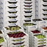 MACFRUT onora Danilo Reggiani, con una targa alla memoria