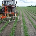 Il sistema Rotosark della Oliver a Macfrut 2011