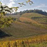 7° Concorso nazionale destinato a incoronare i 3 migliori Riesling d'Italia