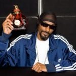 La musica rap spinge all'alcol i teen-ager