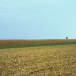 Coldiretti: "Definire un piano di dismissioni e di valorizzazione dei terreni agricoli pubblici"