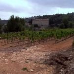 Vini lombardi: Gerusalemme è la nuova tappa per la campagna As.co.vi.lo.