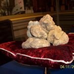 XIII edizione dell'Asta Mondiale del Tartufo Bianco d'Alba