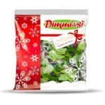 Insalata delle feste: Un'altra assoluta novità firmata DimmidiSì