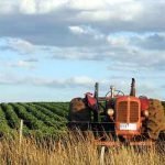 Roma: Summit nazionale sulla riforma della Politica agricola comune