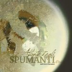 Presentato l'Atlante degli spumanti d'Italia, metodo italiano