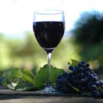 L'enoturismo corre sul web