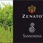 Zenato e Sansonina presentano le proprie eccellenze a Identità Golose