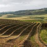 Sicilia. La pasta della legalità arriva dal Feudo Verbumcaudo