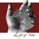 Passato, presente e futuro. Il vino si ferma a Roma