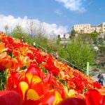 Giardini di Sissi di Merano: La nuova stagione apre domenica 1° aprile