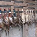 Lombardia. Nei ristoranti per una settimana di caccia in cucina