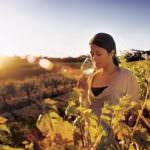 Viaggio in South Australia, tra lezioni di cucina, assaggi e relax
