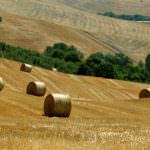 Come dovrebbe essere la nuova PAC? Risponde la CIA