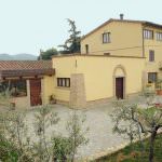 L'Azienda Agricola Decimi e le sue 3000 piante di olivo