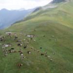 Escursione naturalistica a Monte Inici e degustazione di prodotti genuini