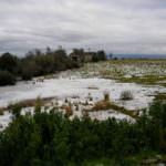 Tempi duri per chi coltiva agrumi, ora in Sicilia arriva anche la grandine