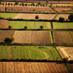 Cia: "Imprenditori agricoli oberati da troppi oneri"