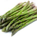 Spagna: Concluso il 9° Simposium Europeo dell'Asparago