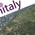 Vinitaly, la Regione Liguria presenta le etichette de La Spezia