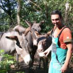 Il mio sogno: dedicarmi all'allevamento e alla produzione di latte d'asina