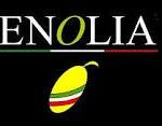 Enolia: il grande olio d'oliva e la gastronomia della Versilia
