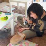 Conigli e bevande: il Giappone presenta il rabbit-cafè