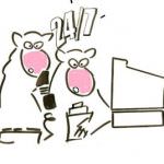 Che fine fanno i cibi scaduti e avariati? ...e quelli sequestrati!