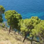 Biologico, unione dei distretti di Cilento e Biovallée