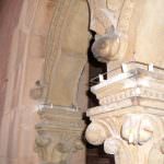 Problema piccioni, igiene a rischio: come risolvere in modo incruento