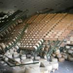 200 mila forme di Grana e di Parmigiano distrutte dal terremoto