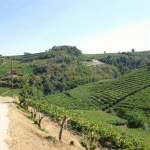 Strade del Vino da scoprire a Verona
