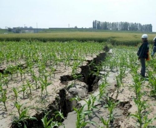 Terremoto: 8mila lavoratori nell’agroalimentare rischiano il posto di lavoro
