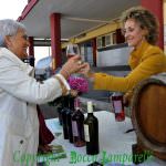 Cantine Aperte: Coinvolte 36 aziende in Puglia