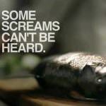 Violenze, abusi e crudeltà. Spot PETA contro il consumo di pesce