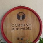 Flavio Tosi incontra Angelo Maci nella Cantina Due Palme... nonostante che sia negroAMARO per Dario Stefano