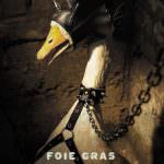 California. Vittoria degli animalisti: presto il bando del foie gras