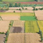 VI Conferenza economica della Cia