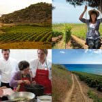 Vineyard Tour 2012: Per scoprire i vini Mandrarossa e la comunità di Menfi