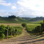 Vino, boom di dowload per "Discover Italy"