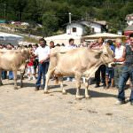 Fiera di S. Alessandro 2012 a Bergamo