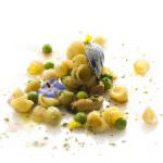 L'eccellenza del Pastificio Granoro al "Ceglie Food Festival"