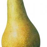 Pera Abate Fetel agli USA: vengo anch'io! No, tu no